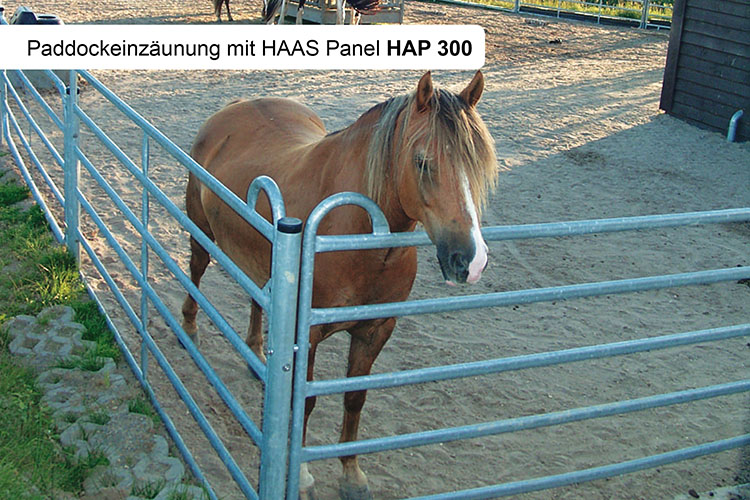 HAAS Panel 330 cm