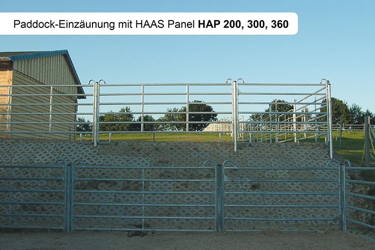 HAAS Panel 300 cm - 15 Stück