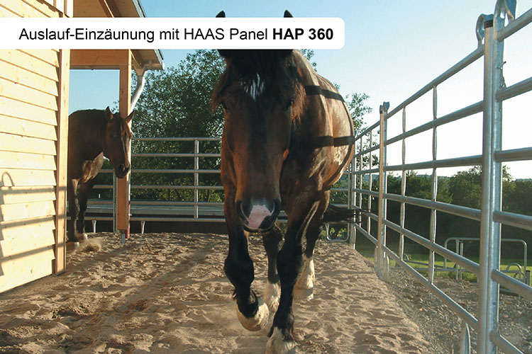 HAAS Panel 300 cm - 10 Stück (inkl. 5 Längsverbinder GRATIS)